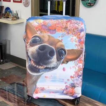 Чехол Большой Морская звезда